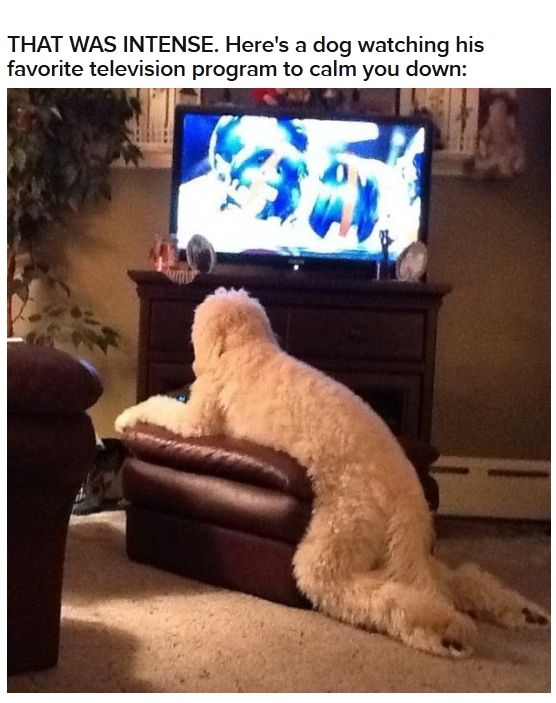 Try to Make It Through This Post Without Your Brain Melting (30 pics)