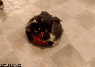 Acid Gifdump (17 gifs)