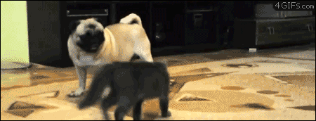 Acid Gifdump (17 gifs)