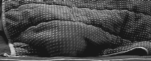 Acid Gifdump (17 gifs)