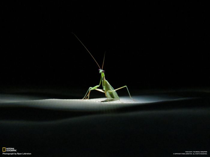 Beautiful Pictures by National Geographic (46 pics)
