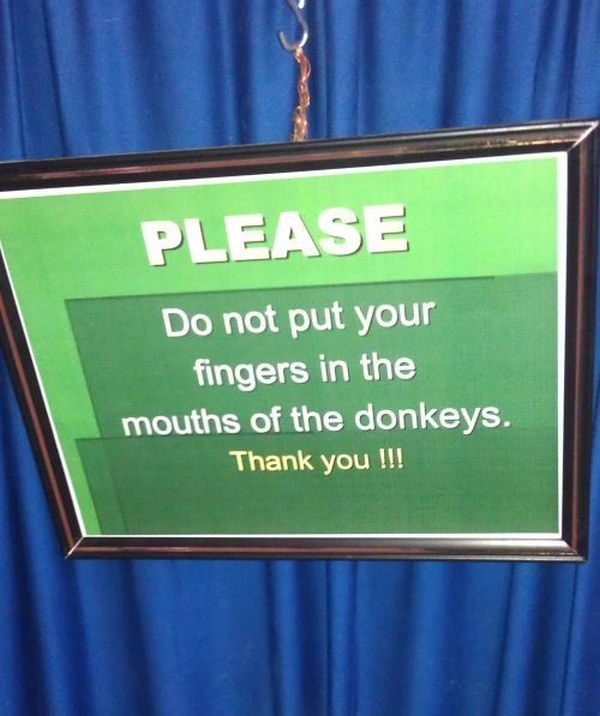 WTF Signs (30 pics)