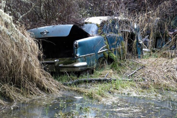 Car Cemetery in a Forest (30 pics)