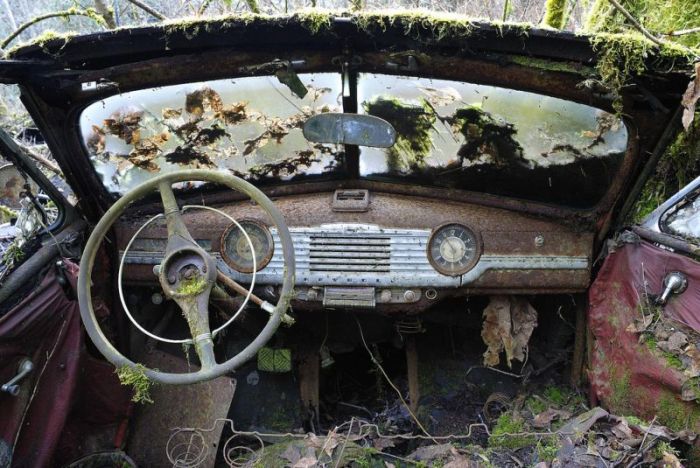 Car Cemetery in a Forest (30 pics)