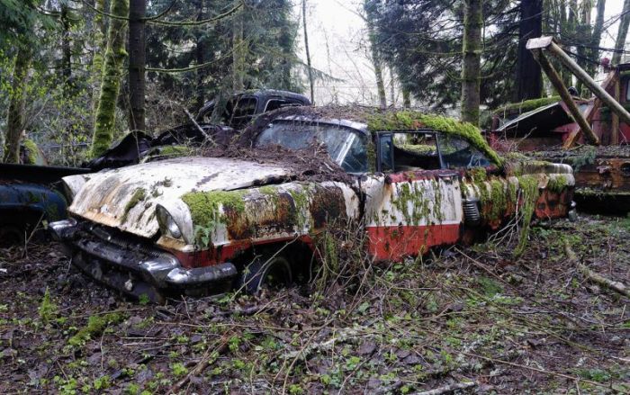 Car Cemetery in a Forest (30 pics)