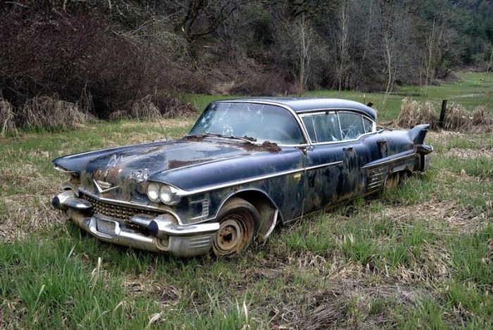 Car Cemetery in a Forest (30 pics)