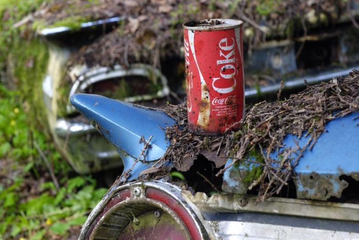 Car Cemetery in a Forest (30 pics)