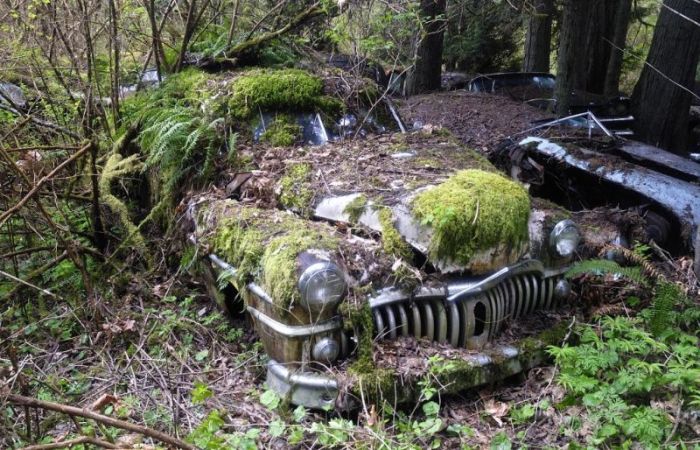 Car Cemetery in a Forest (30 pics)