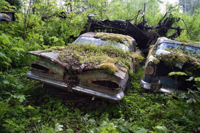 Car Cemetery in a Forest (30 pics)