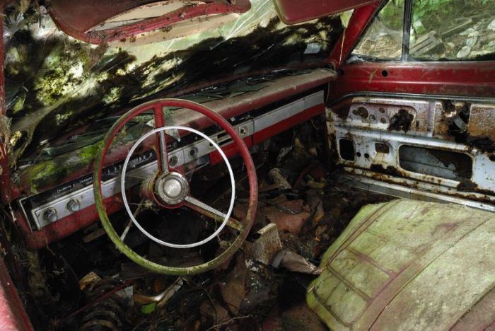 Car Cemetery in a Forest (30 pics)