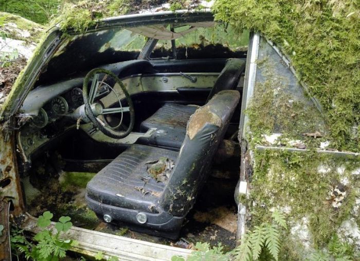 Car Cemetery in a Forest (30 pics)