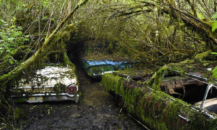 Car Cemetery in a Forest (30 pics)