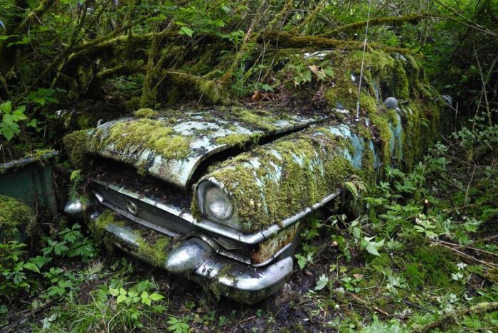 Car Cemetery in a Forest (30 pics)