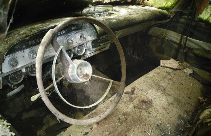 Car Cemetery in a Forest (30 pics)