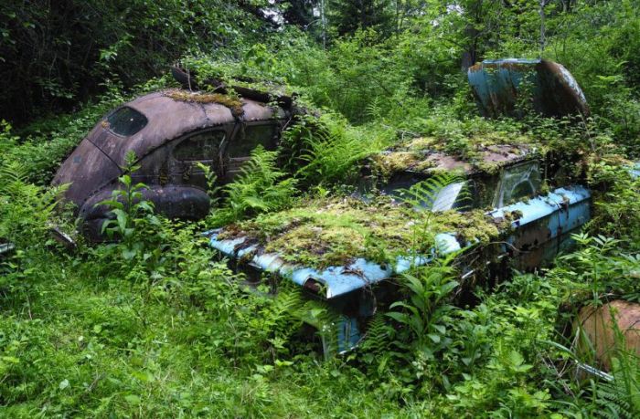 Car Cemetery in a Forest (30 pics)