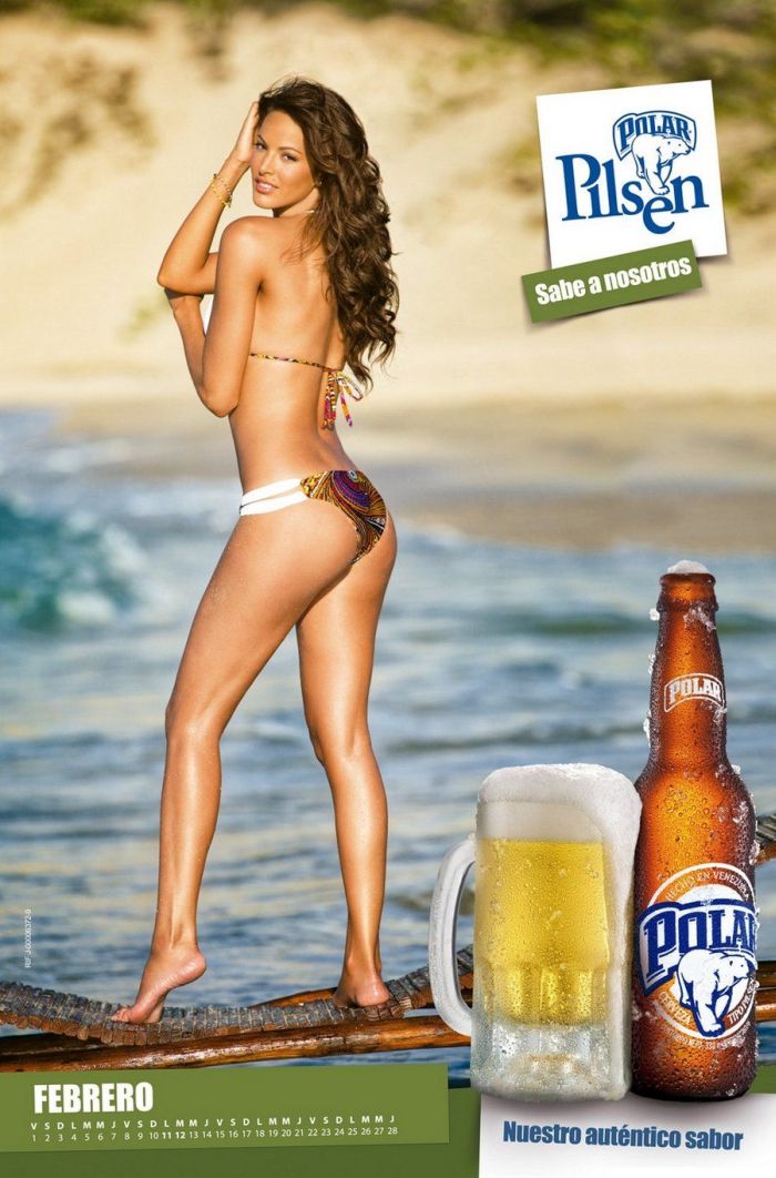 Chicas Polar Pilsen 2013 Calendar (16 pics)