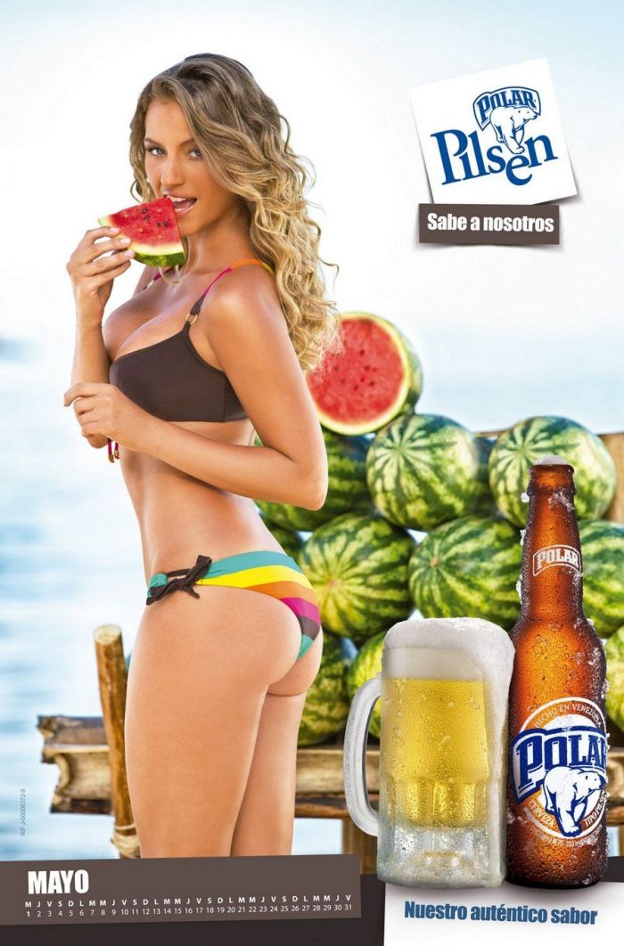 Chicas Polar Pilsen 2013 Calendar (16 pics)