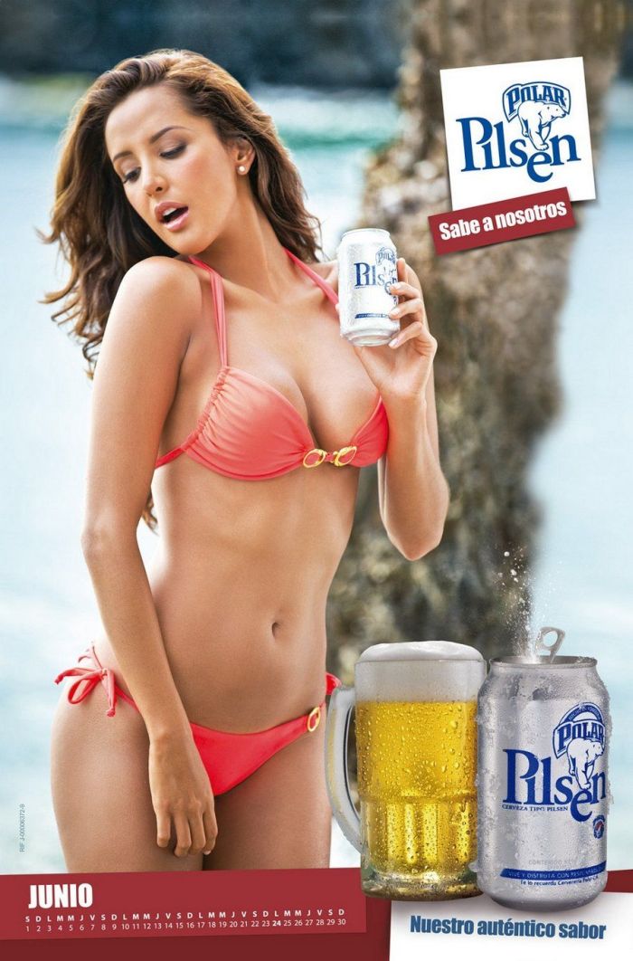 Chicas Polar Pilsen 2013 Calendar (16 pics)