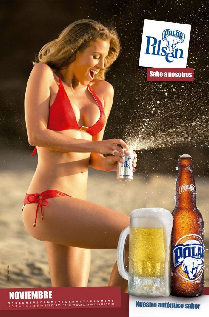 Chicas Polar Pilsen 2013 Calendar (16 pics)