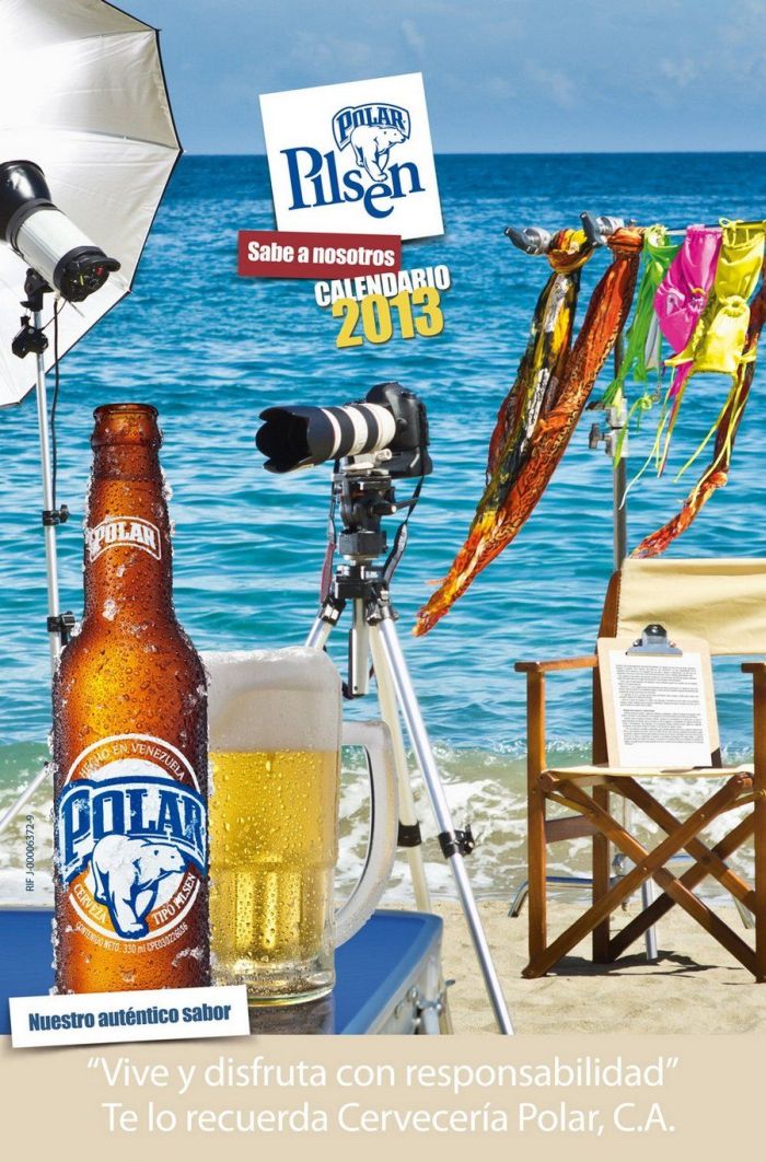 Chicas Polar Pilsen 2013 Calendar (16 pics)