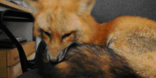 Acid Gifdump (23 gifs)
