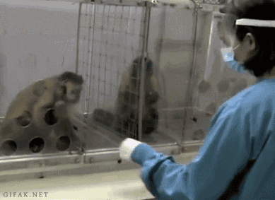 Acid Gifdump (23 gifs)