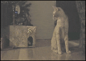 Acid Gifdump (23 gifs)