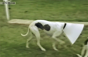 Acid Gifdump (23 gifs)