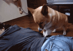 Acid Gifdump (23 gifs)