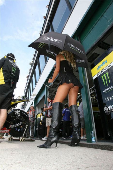 Grid Girls of Motorsport (101 pics)