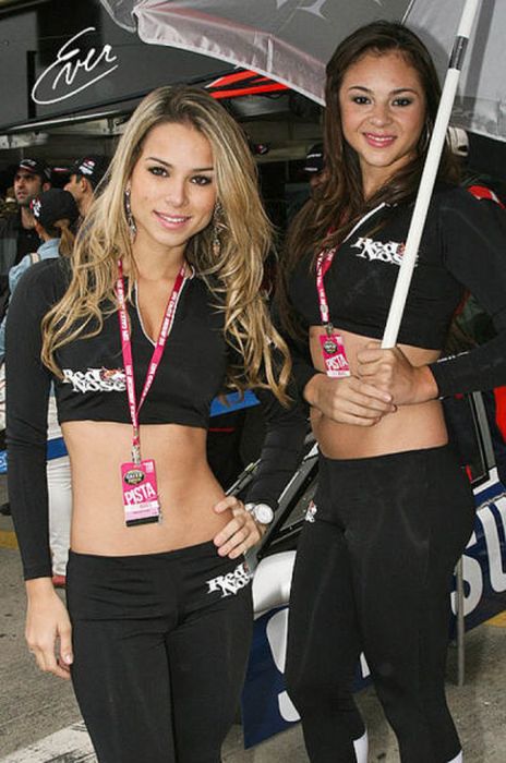 Grid Girls of Motorsport (101 pics)