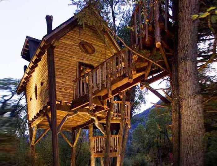 Tree Houses for Adults (40 pics)