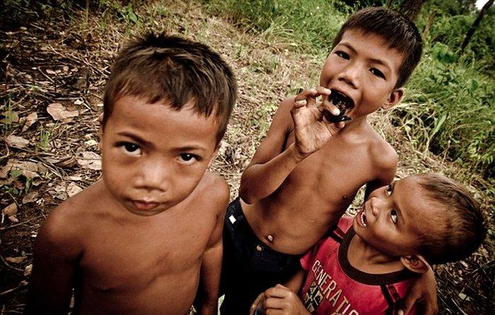 Children in Cambodia Eat Spiders (14 pics)