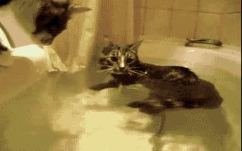Acid Gifdump (18 gifs)