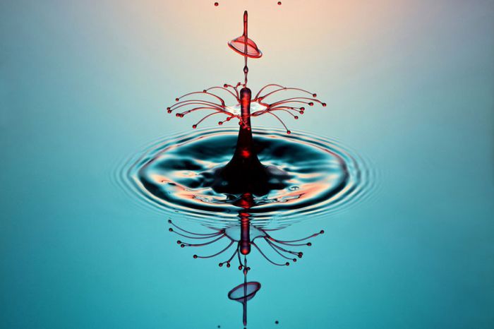 Liquid Drop Art by Corrie White (10 pics)