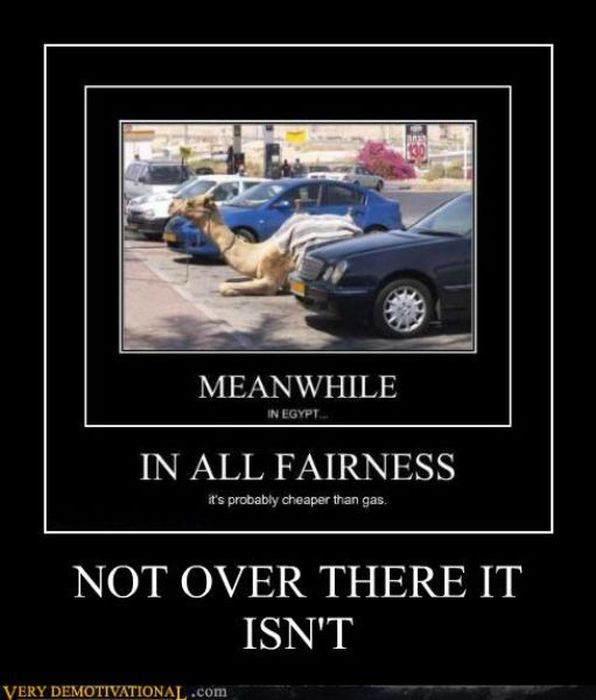 Funny Demotivational Posters (32 pics)