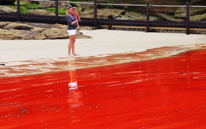 Red Beaches in Sydney, Australia (10 pics)