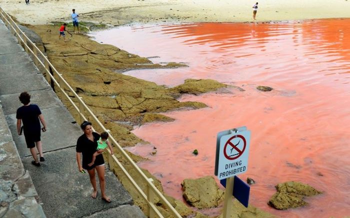 Red Beaches in Sydney, Australia (10 pics)