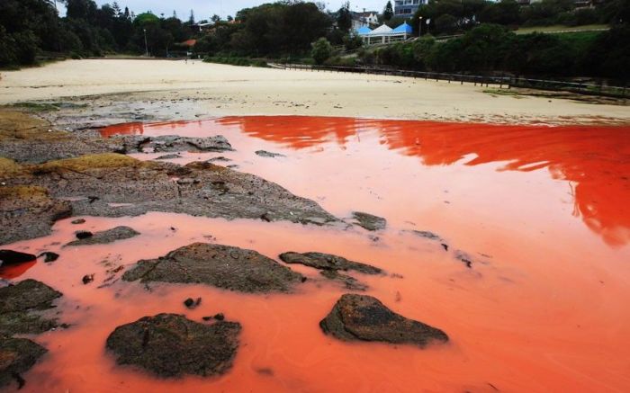 Red Beaches in Sydney, Australia (10 pics)