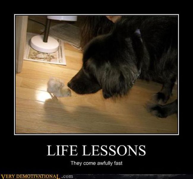 Funny Demotivational Posters (32 pics)