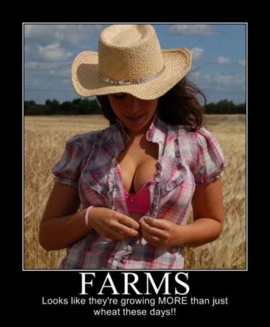 Funny Demotivational Posters (32 pics)