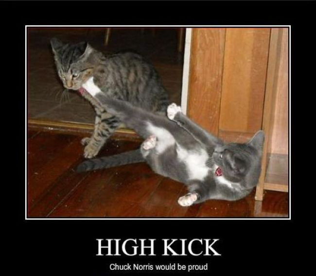 Funny Demotivational Posters (32 pics)