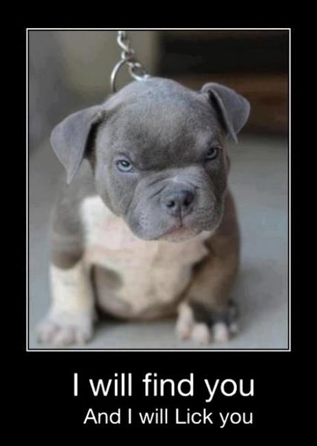 Funny Demotivational Posters (32 pics)