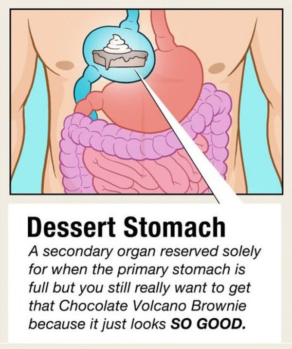 Facts about Human Organs (10 pics)
