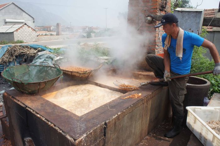 Shrimp Factory in China (8 pics)