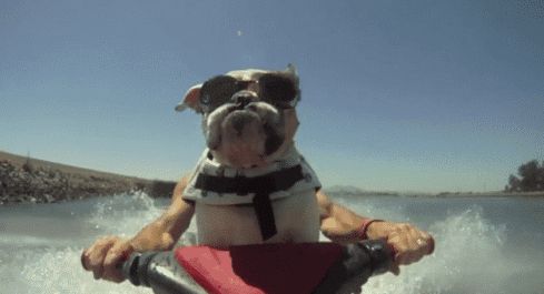 Acid Gifdump (22 gifs)