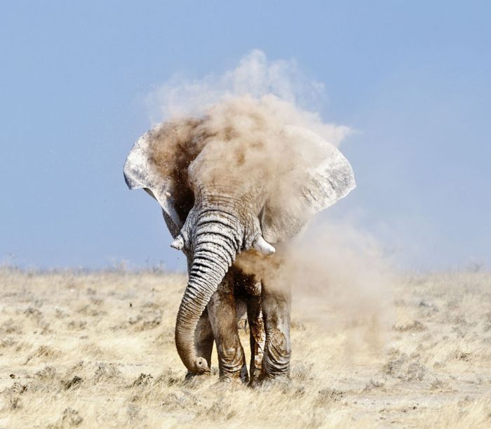 National Geographic Photo Contest 2012. Part 3 (50 pics)