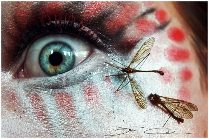 Eye Artworks by Svenja Schmitt  (25 pics)
