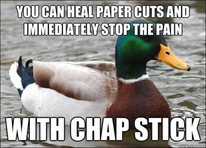 Actual Advice Mallard Meme (22 pics)