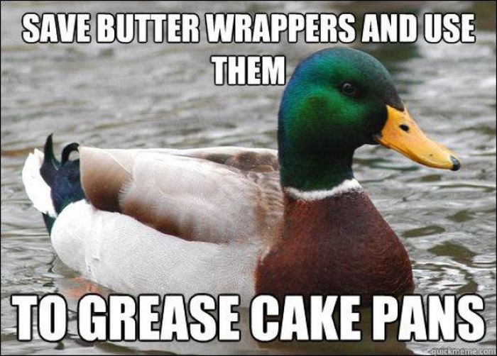 Actual Advice Mallard Meme (22 pics)